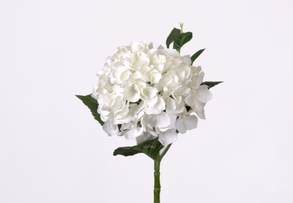 Гортензия крупнолистная small на стебле — Белый
