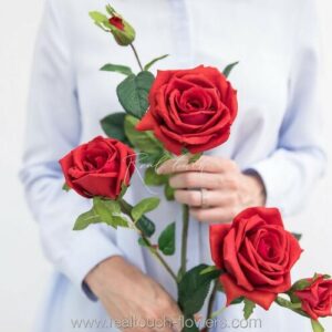 Роза Открытая 3+2 - Красный