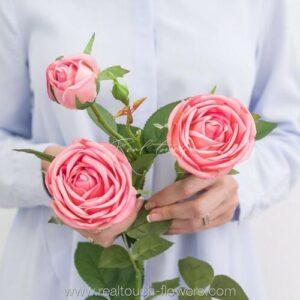 Роза Пионовидная 3+1 - Розовый