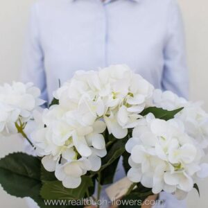 Гортензия кустовая 5 соцветий - Белый